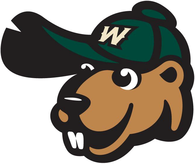 Wisconsin Woodchucks 2010-Pres Alternate Logo v3 iron on heat transfer